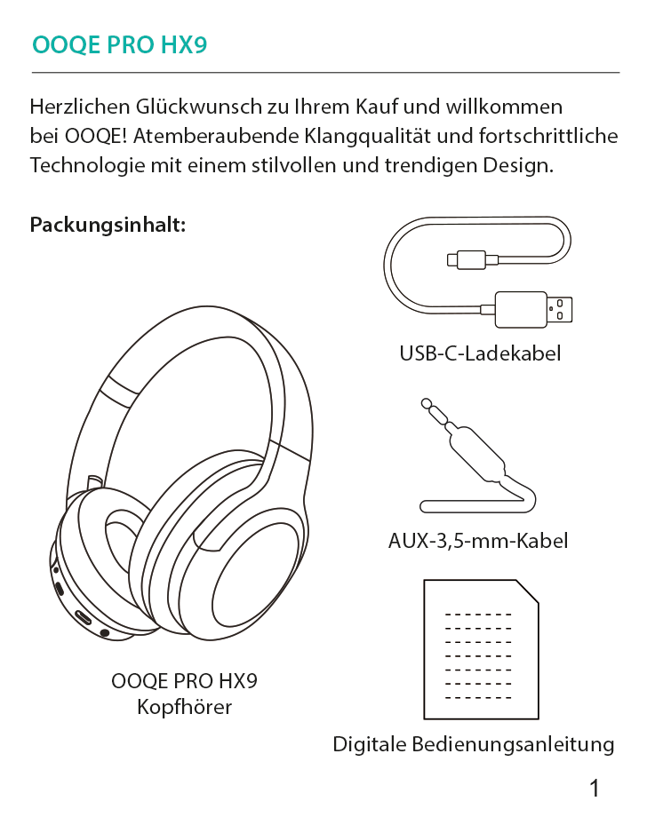 OOQE PRO HX9 - Bedienungsanleitung Deutsch 2